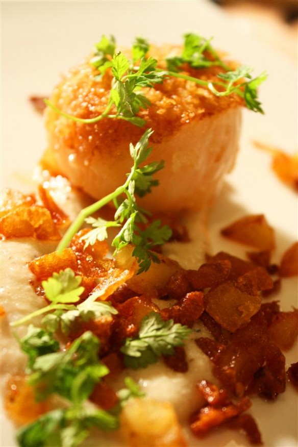 Panko Scallops on sunchoke puree and crispy potatos