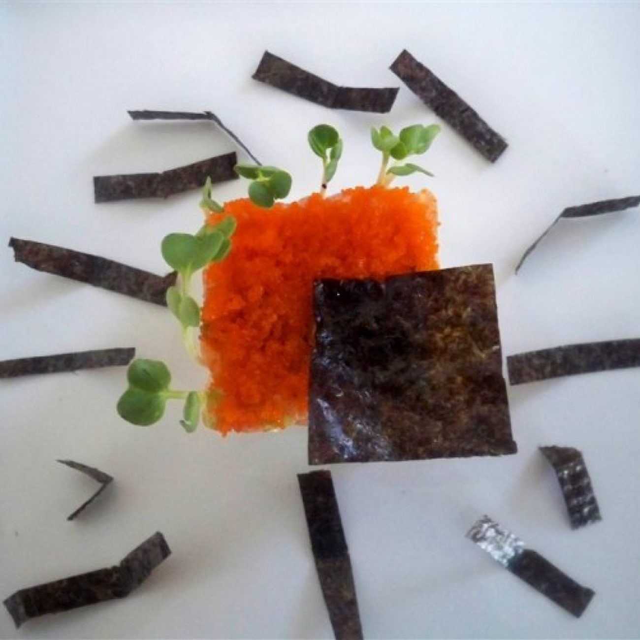 Spicy Salmon Sushi my style