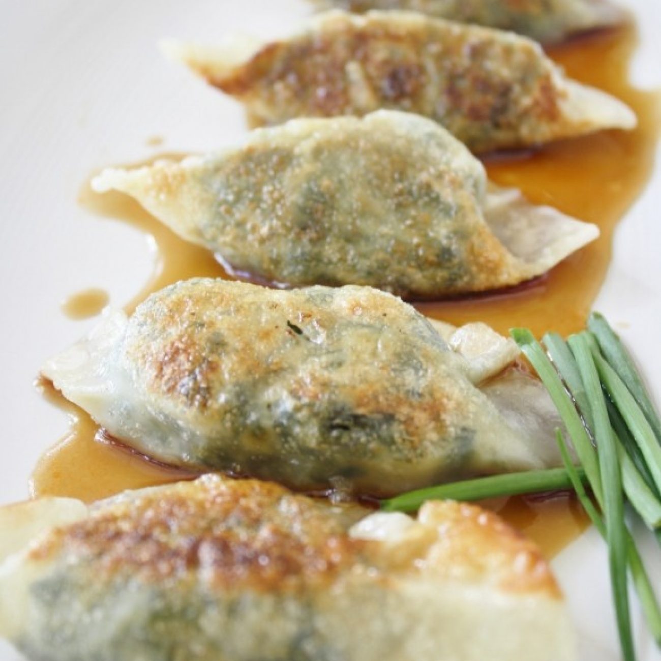 Vegetarian Dumplings