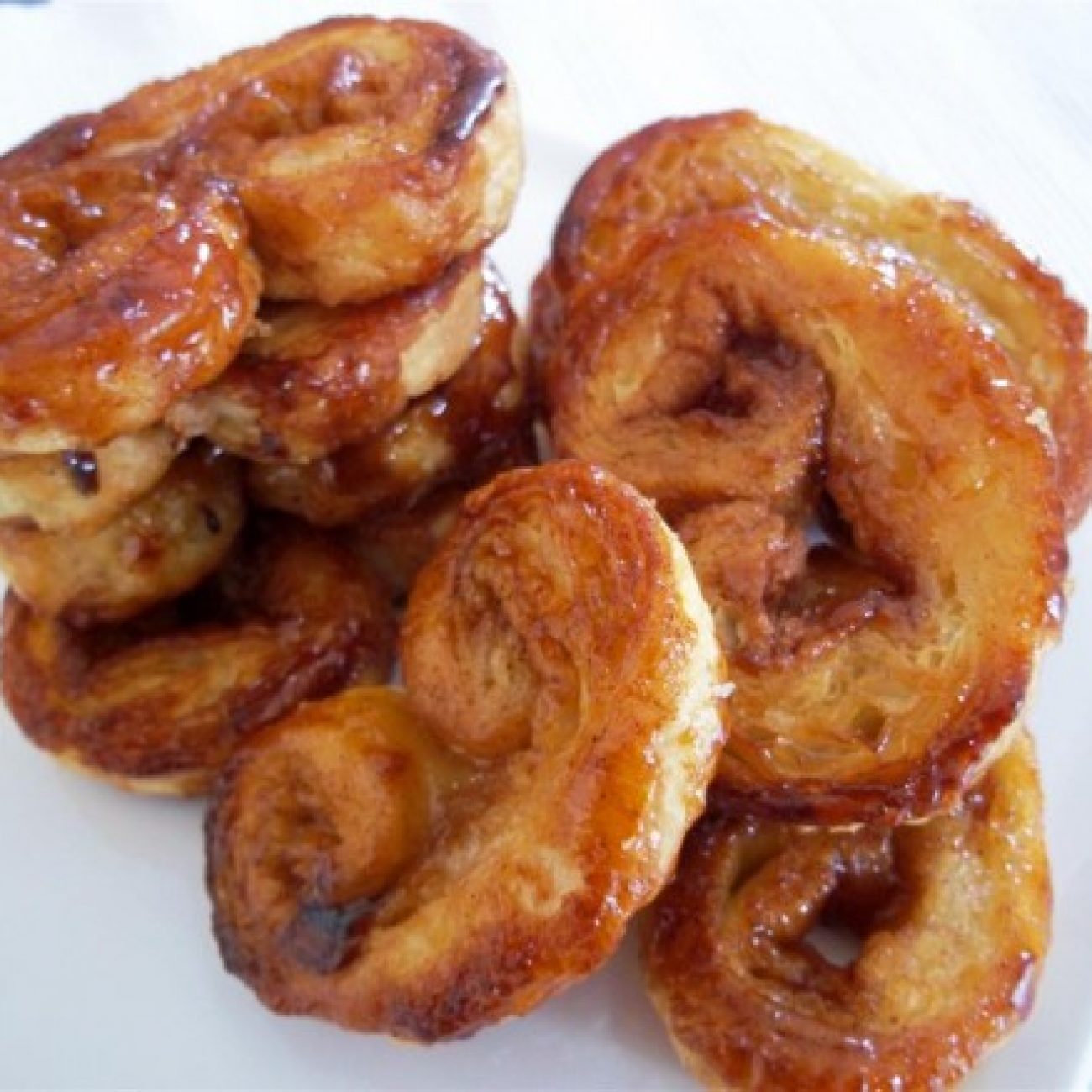 Mini Elephant Ears