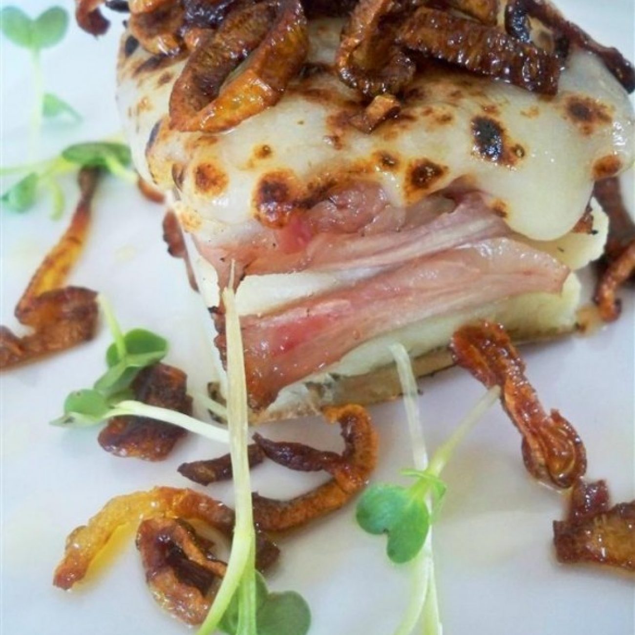 Steak, cheese and potato with fried onions