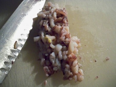 Squid with Squid